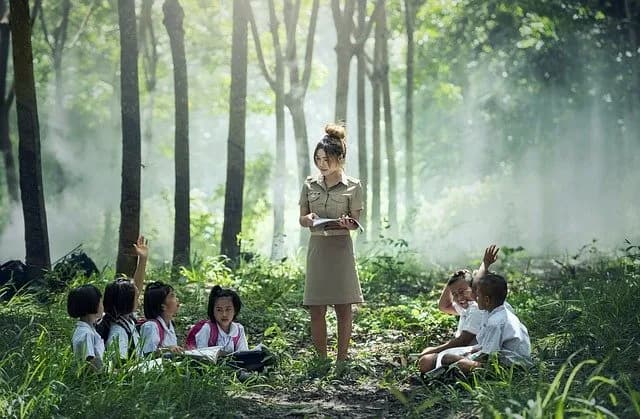 Za co odpowiada wychowawca na kolonii? Kluczowe obowiązki i zadania