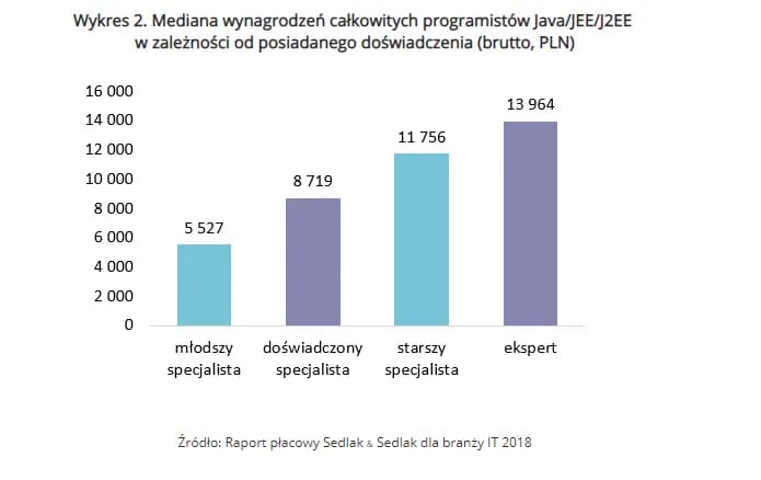 Zarobki po studiach informatycznych: Ile naprawdę mogą zarobić?