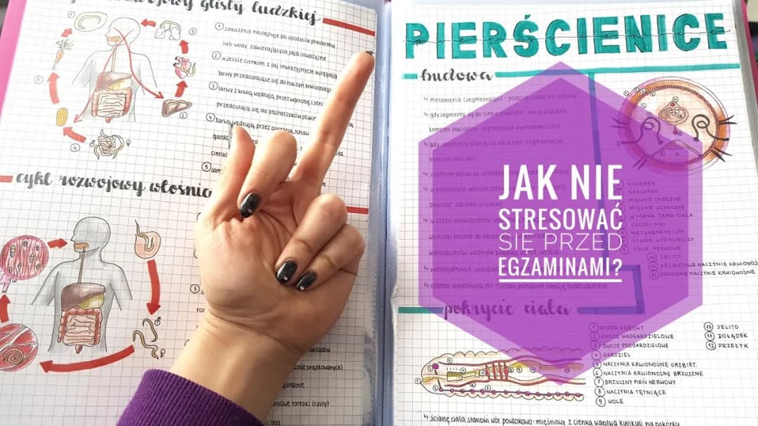 Jak skutecznie uczyć się biologii i uniknąć stresu przed egzaminem