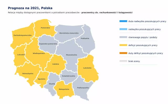 Co można robić po studiach finanse i rachunkowość? Sprawdź możliwości kariery