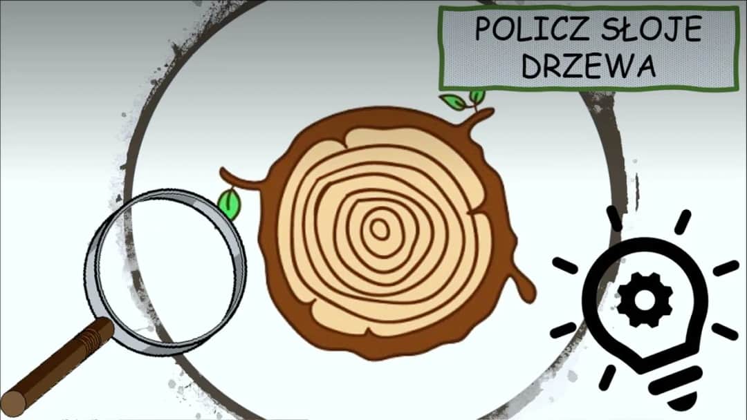 Skąd się bierze papier? Fascynujący film edukacyjny dla dzieci